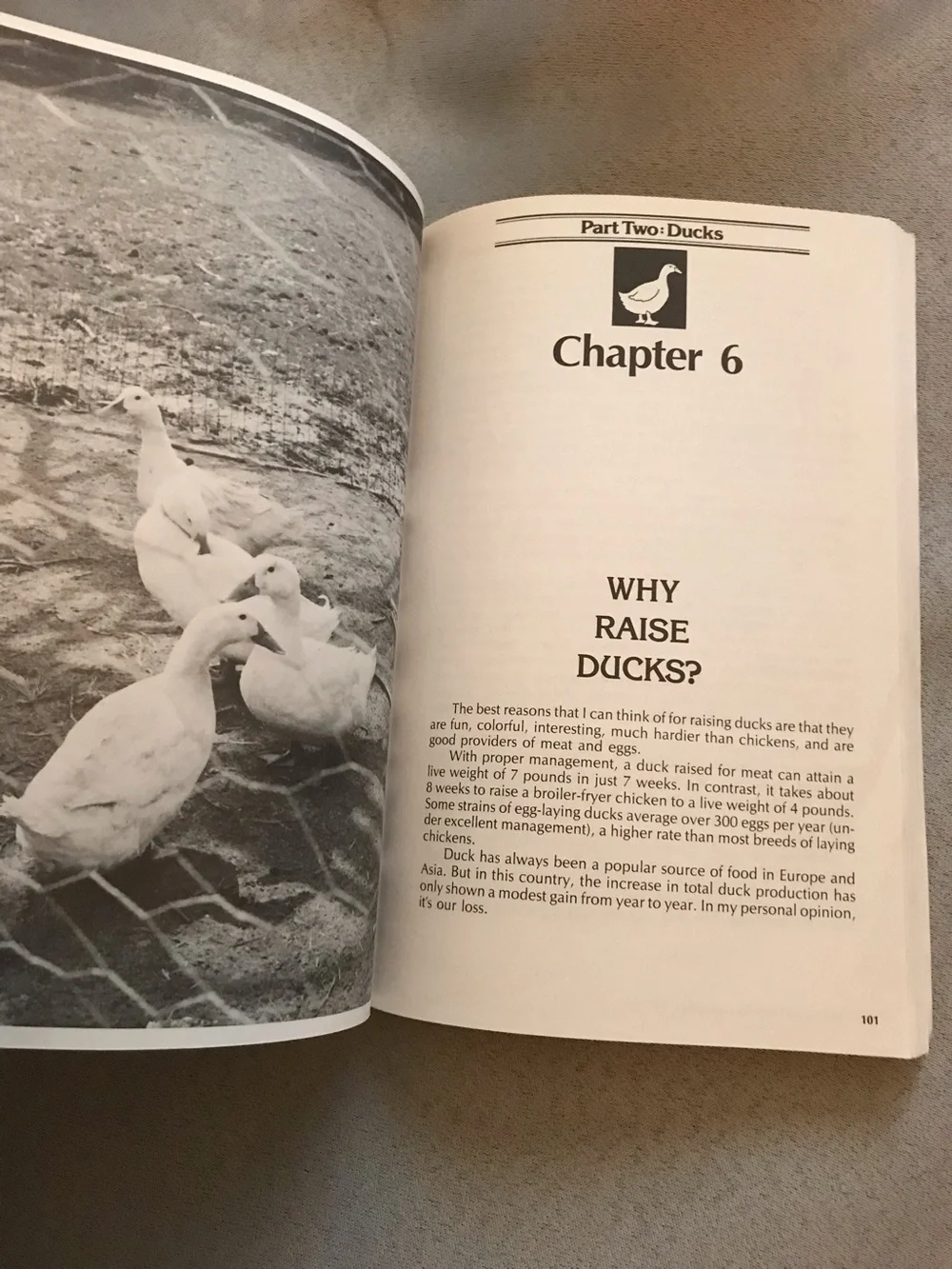 Will Graves Raising Poultry Successfully